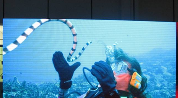 美股四次熔斷，會對室內全彩led顯示屏行業造成怎樣的影響呢